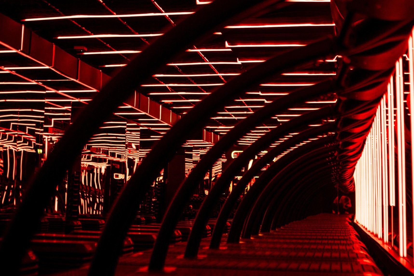 Burn Room at Bootcamp Baby with Woodway treadmills and red LED lighting